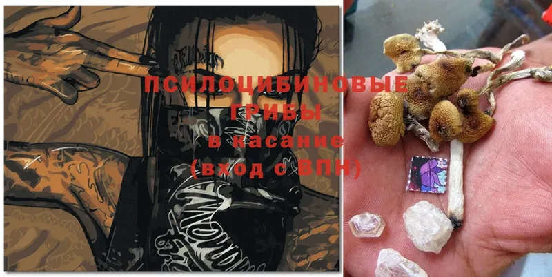 Галлюциногенные грибы Magic Shrooms  Набережные Челны 